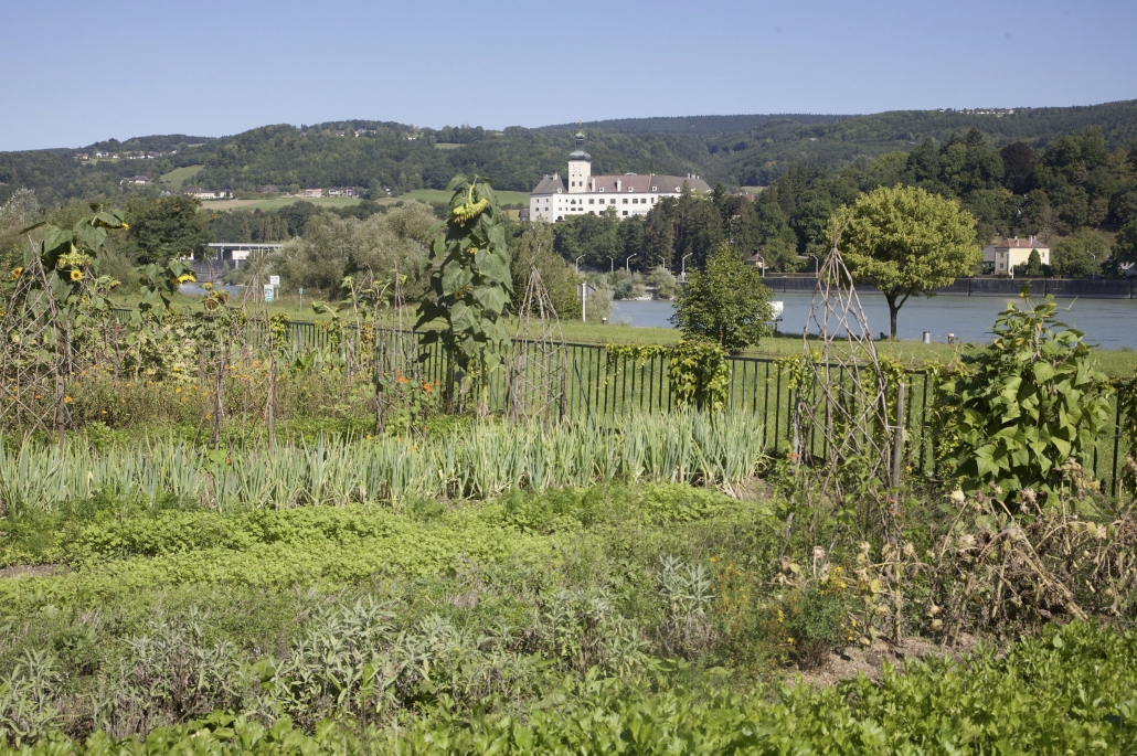 Blick auf Schloss Persenbeug