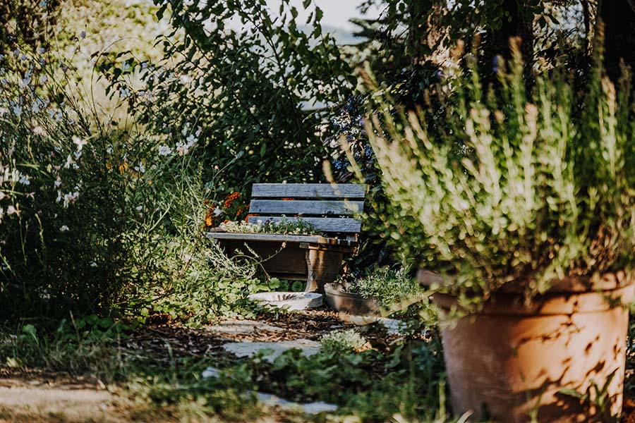 Garten Therapiezentrum Ybbs